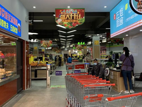 淘菜猫助力莘盛菜市场智慧升级 买菜就像逛超市，日用百货一站购